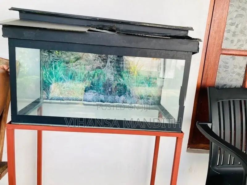 Fish tank