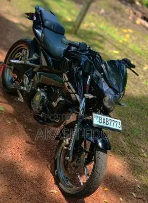Bajaj Pulsar NS200 2013