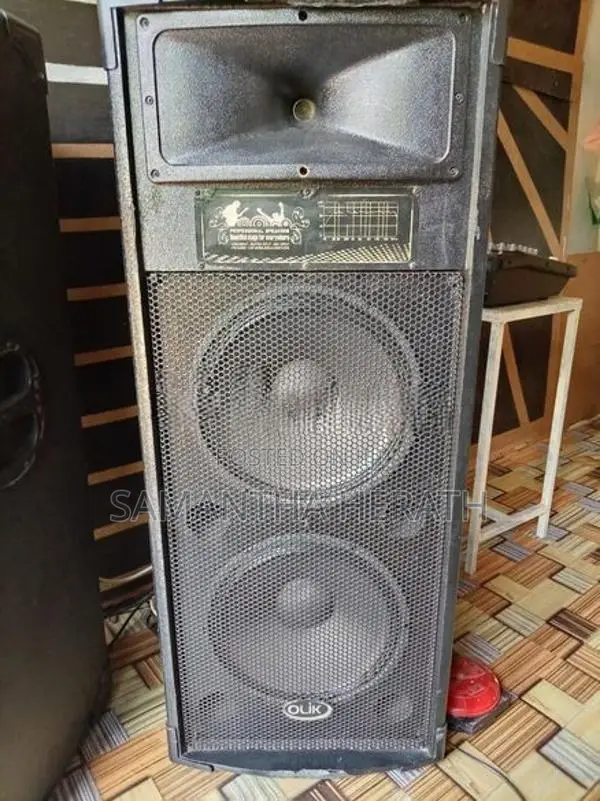 Speakers with Sound System
