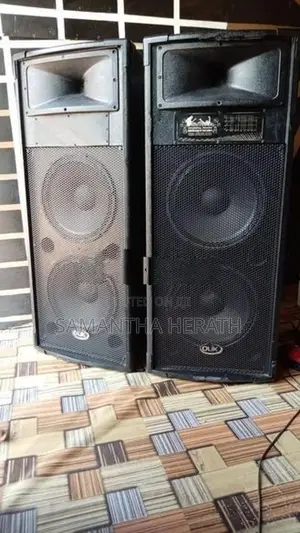Speakers with Sound System