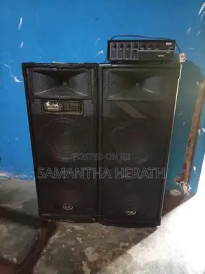 Speakers with Sound System
