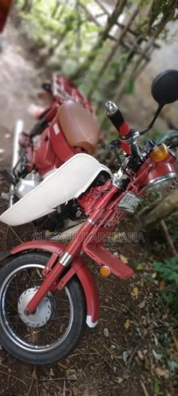 Honda MD Japanese 2019