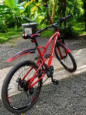 Tomahawk Dual Suspension Mountain Bike