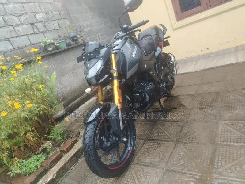 Hero Hunk 160R 2025