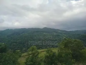 Land for Sale Nillamba