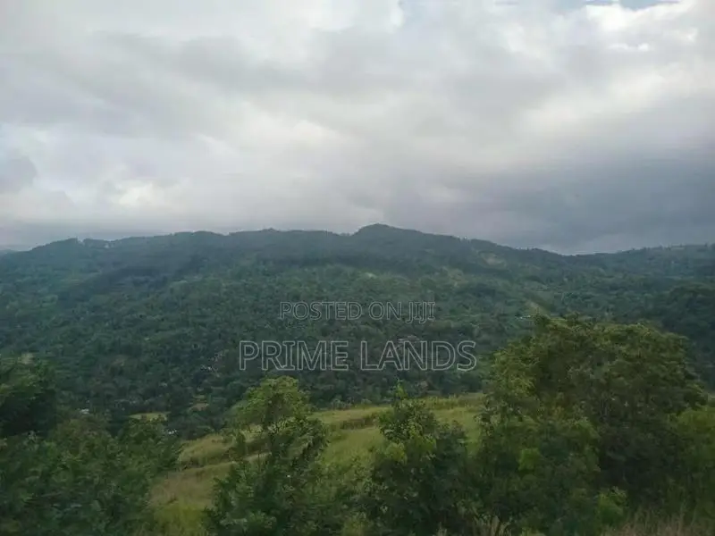 Land for Sale Nillamba