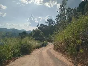 Land for Sale Nillamba