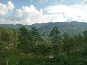 Land for Sale Galaha