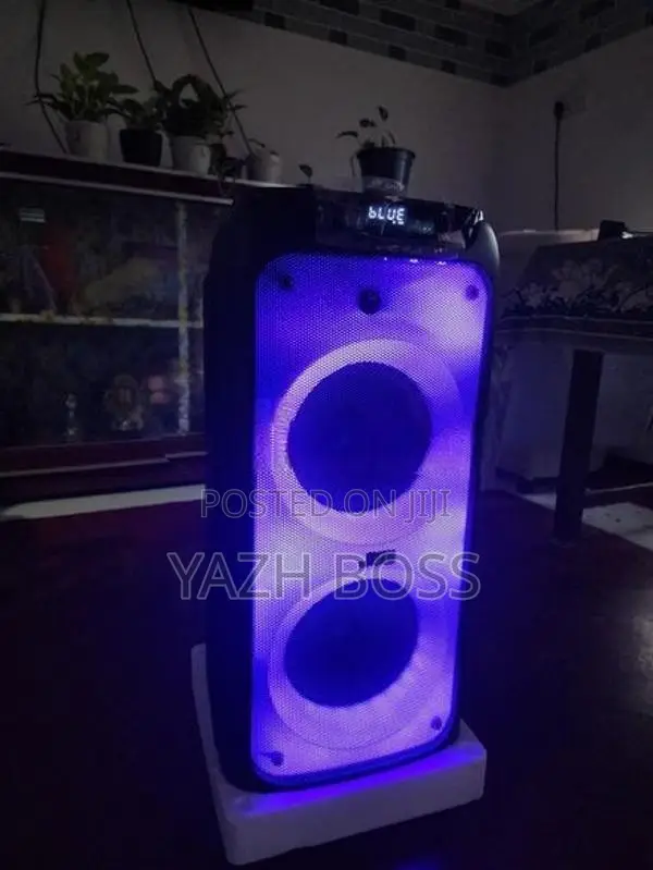 JVC Party Speaker