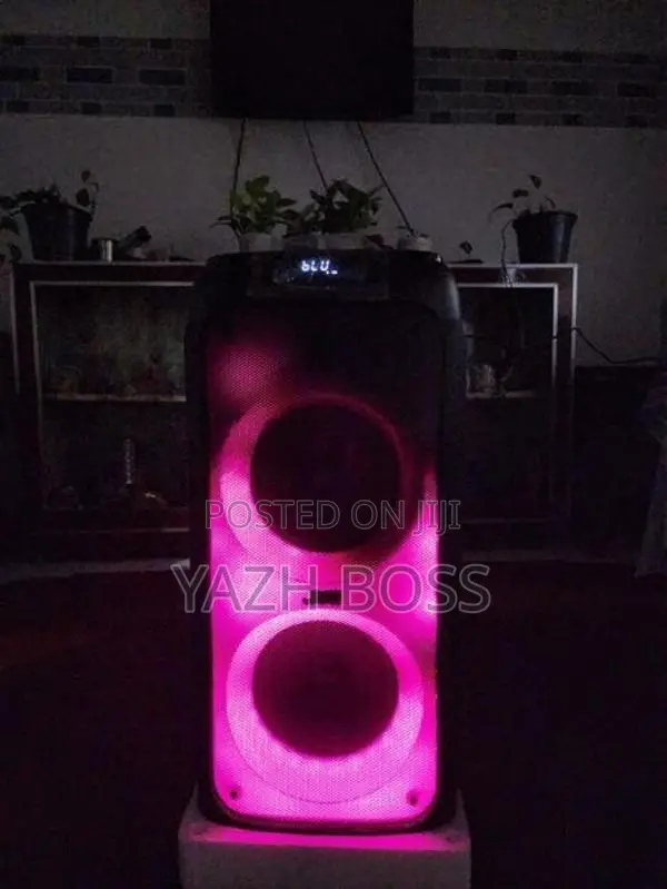 JVC Party Speaker