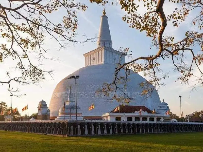 අනුරාධපුරයේන් සින්නක්කර ඉඩමක්'