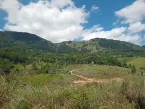 Land for Sale Deltota