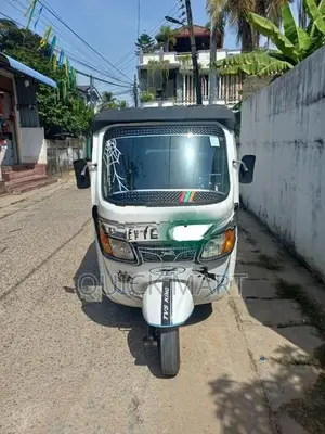 TVS King 2013