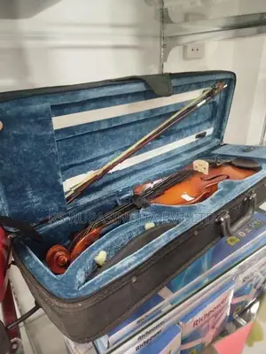 Violin