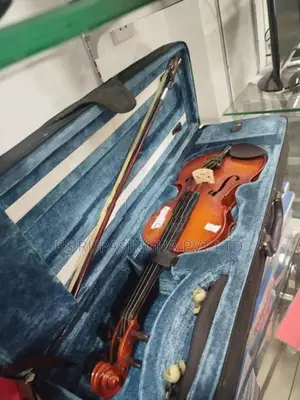 Violin