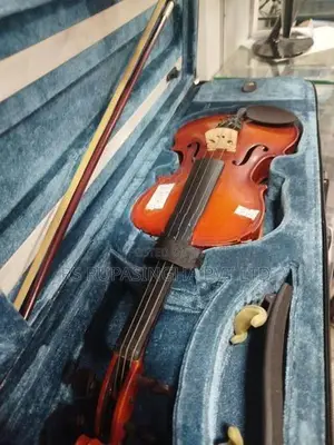 Violin