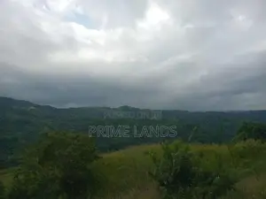Land for Sale Galaha