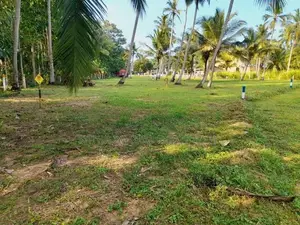 පොතුහැරින් ඉඩමක්'