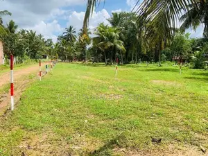 පොතුහැරින් ඉඩමක්'