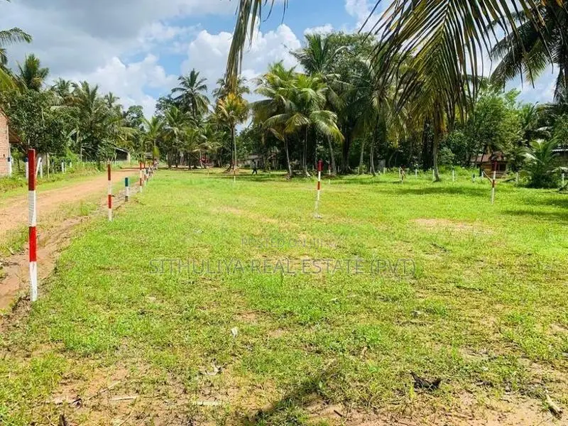 පොතුහැරින් ඉඩමක්'