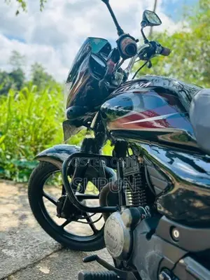 Bajaj Platina 125 2009
