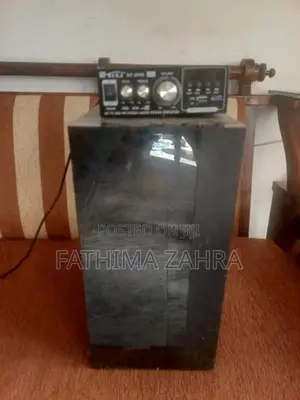 Subwoofer with Amplifier