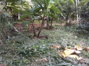 ගන්නෝරුවේ ඉඩමක් විකිණීමට