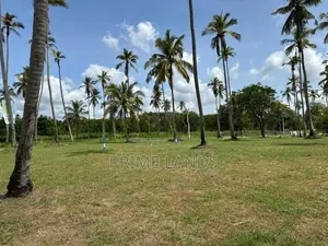 වාරියපොල නගරයෙන්ම නේවාසික බිමකොටස්