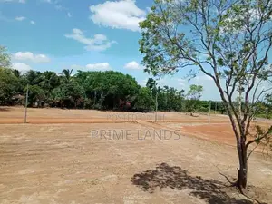 අනුරාධපුර මහබුලන්කුලම නිස්කලංක වටපිටාවකින් අගනා ඉඩමක්
