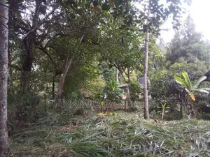 ගන්නෝරුවේ ඉඩමක් විකිණීමට