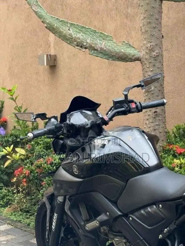 Yamaha MT 15 2019