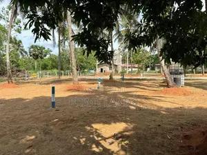 අනුරාධපුර මිහින්තලා ප්‍රධාන බස් පාරට නුදුරින් අගනා ඉඩමක්