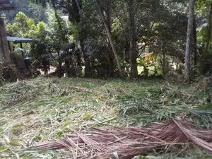 ගන්නෝරුවේ ඉඩමක් විකිණීමට