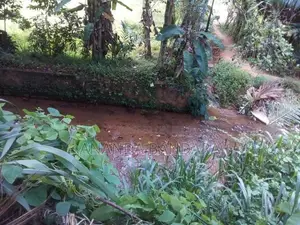 ගන්නෝරුවේ ඉඩමක් විකිණීමට