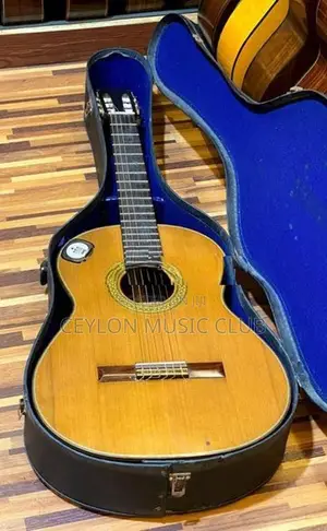 Ryoji Matsuoka No30 Guitar