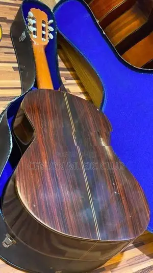 Ryoji Matsuoka No30 Guitar