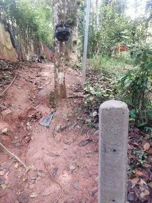 Land for Sale in Badulla