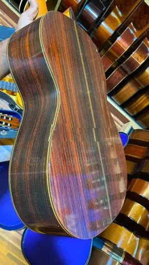 Ryoji Matsuoka No30 Guitar