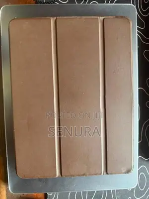 Apple iPad Air 2 Cellular