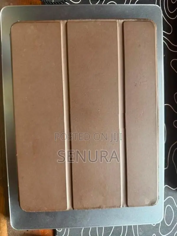 Apple iPad Air 2 Cellular