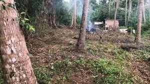 Land for Sale Mawathagama