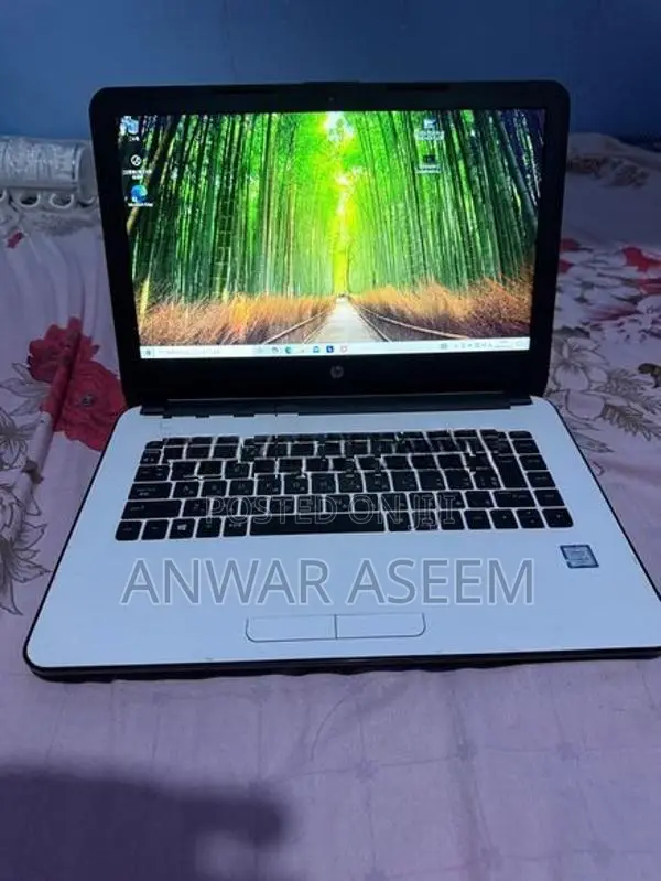 HP Laptop