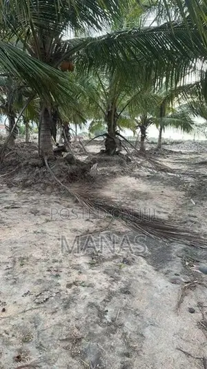 Land for Sale - Mannar