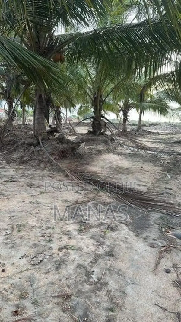 Land for Sale - Mannar