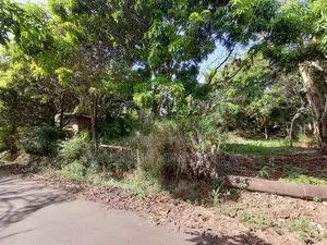 දෙහිඅත්තකණ්ඩිය පර්චස් 15 ක ඉඩමක් විකිණීමට .