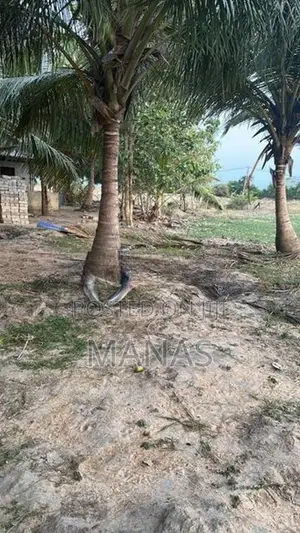 Land for Sale - Mannar