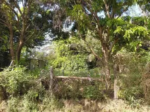 දෙහිඅත්තකණ්ඩිය පර්චස් 15 ක ඉඩමක් විකිණීමට .