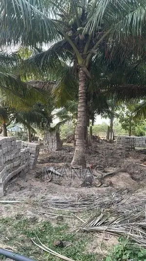 Land for Sale - Mannar