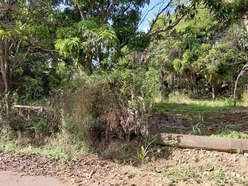 දෙහිඅත්තකණ්ඩිය පර්චස් 15 ක ඉඩමක් විකිණීමට .