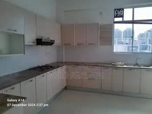 Luxury 3 Bedroom Apartment For Rent In Colombo 5